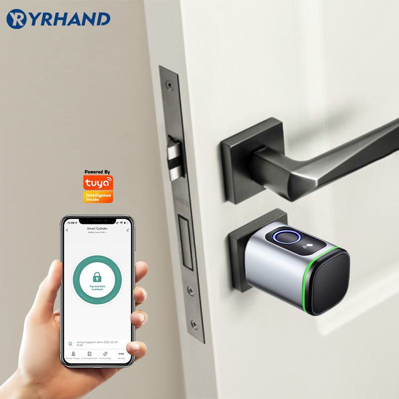 Euro Tuya Smart Fingerabdruck- – Smart Garden Lock Bewertung und Preis